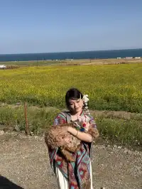 大西北你真的有點厲害!青海湖隨手拍都美!