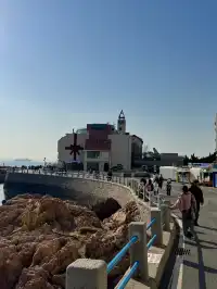 青島你美 冬日citywalk~