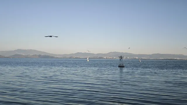 昆明小眾觀鷗地|磊樓的滇池治癒時刻 昆明小眾觀鷗地|磊樓的滇池治癒時刻