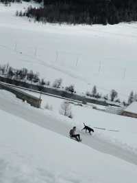 Sledging at Julierpass – Pure Winter Magic 🛷