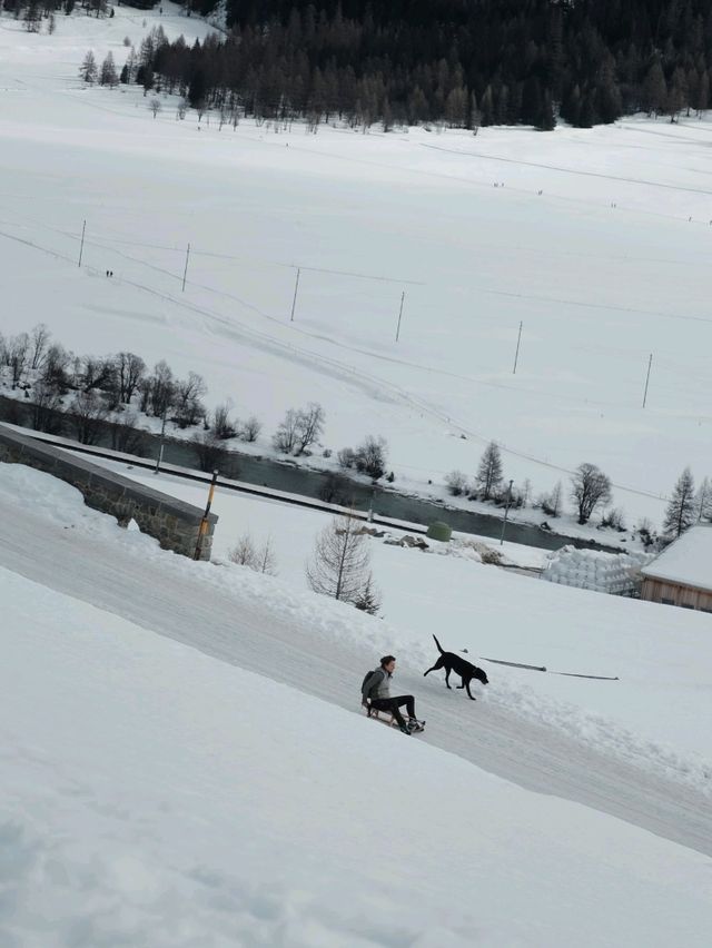 Sledging at Julierpass – Pure Winter Magic 🛷 Sledging at Julierpass – Pure Winter Magic 🛷