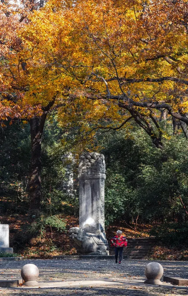 人你好,我是靈谷寺的咪,來看看我和秋天嗎 人你好,我是靈谷寺的咪,來看看我和秋天嗎