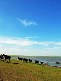 漠河3天包車遊打卡極北風光