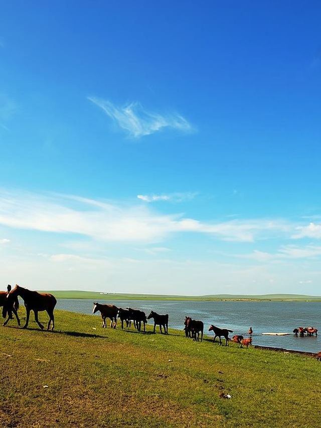 漠河3天包車遊打卡極北風光