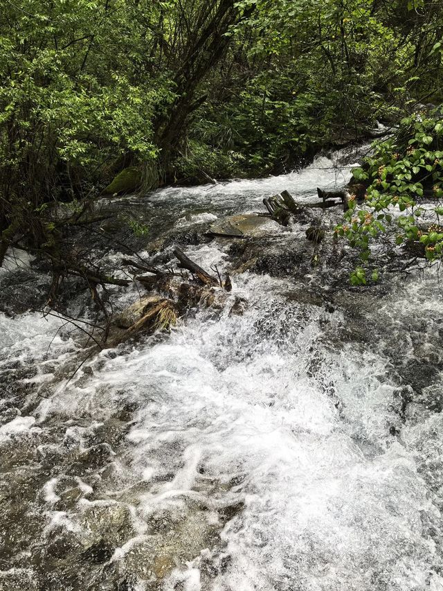 阿壩藏族羌族自治州4天|必打卡攻略 阿壩藏族羌族自治州4天|必打卡攻略