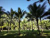 中國科學院西雙版納熱帶植物園真的太寶藏了，必須安利給大家