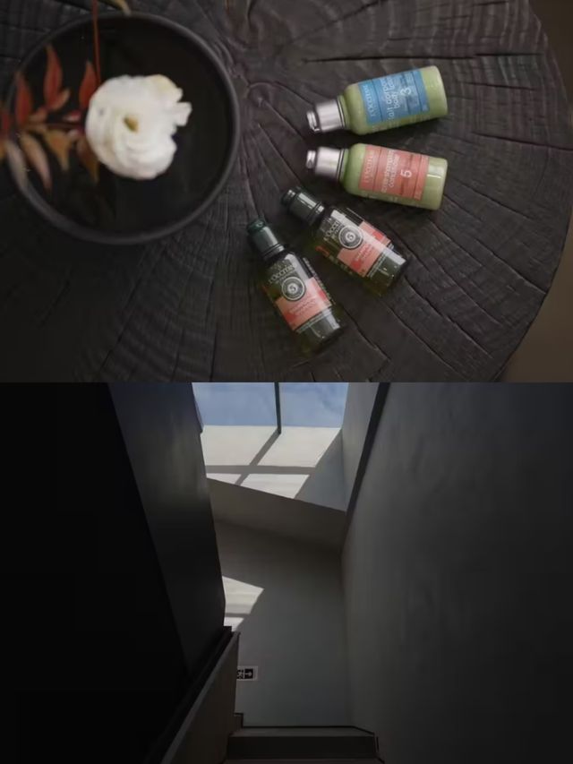 武夷山水裡的仙境美宿！肆間拾山太治癒