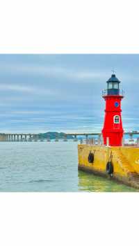 𝗱𝘂𝗱𝘂ᐝ北緯23°的颱風也是吹過了