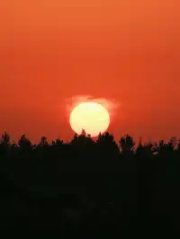 蘇州陽澄湖｜帶快樂小狗來草坪撒歡打滾