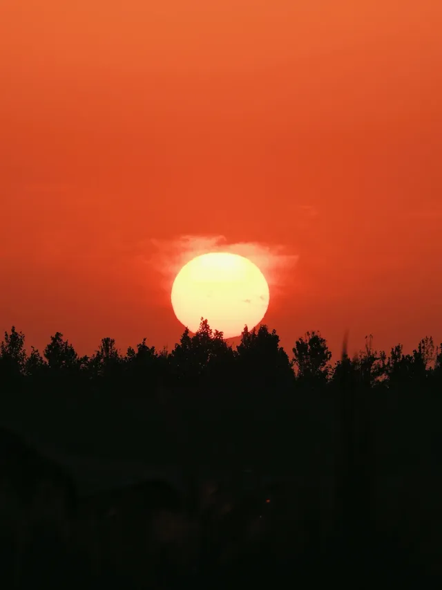 蘇州陽澄湖｜帶快樂小狗來草坪撒歡打滾