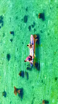 放棄三亞了 去潿洲島追鯨魚了