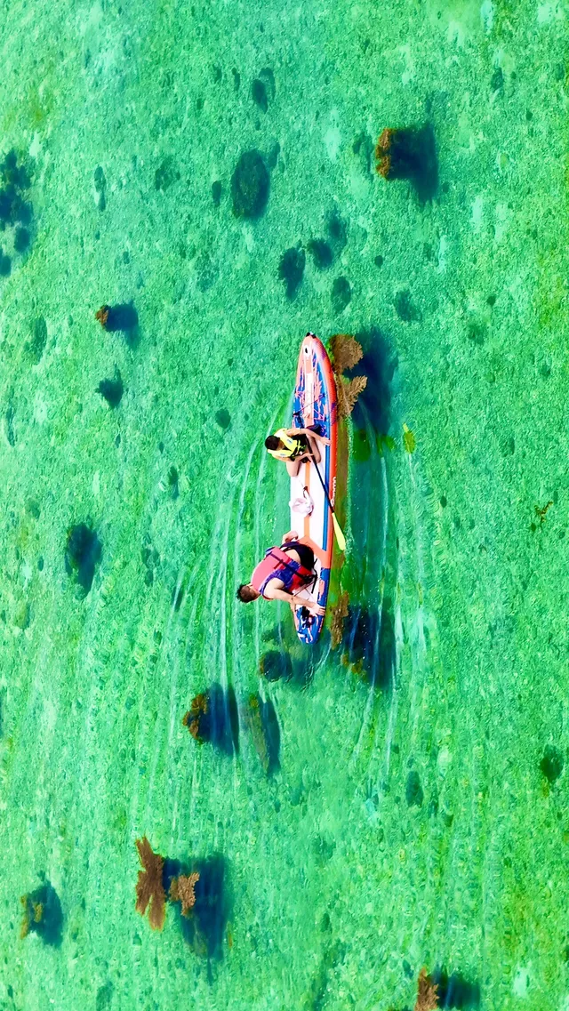 放棄三亞了 去潿洲島追鯨魚了 放棄三亞了 去潿洲島追鯨魚了