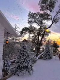 珠海！！！新店！芬蘭雪屋太好拍了！！！