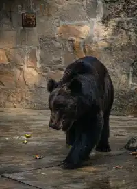 上海動物園‖動物攝影師的天堂