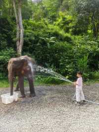 二次遊版納！一點都不累！小朋友說比迪士尼更好玩。