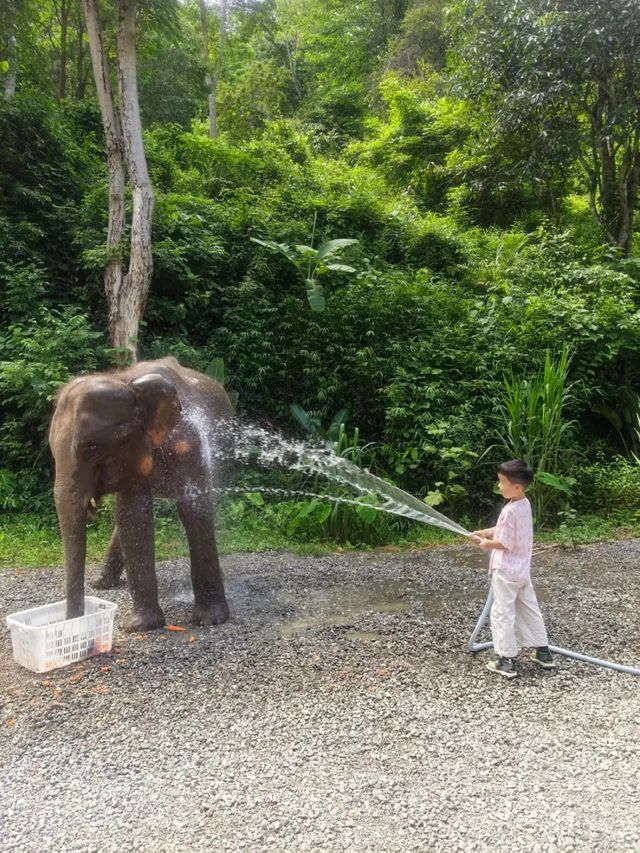 二次遊版納！一點都不累！小朋友說比迪士尼更好玩。
