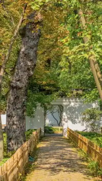 答應我!秋天一定要來一次天平山附攻略