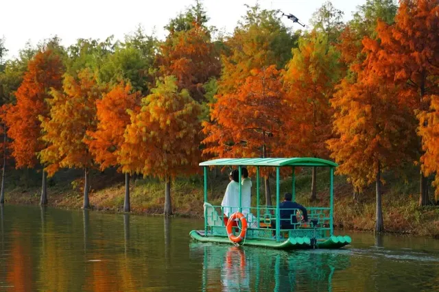 李成帶兵攻打到合肥來了