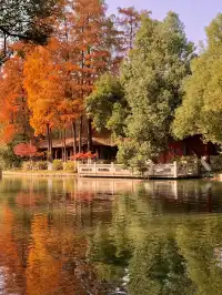 12.1武漢|現實版秋日莫內油畫~地鐵直達