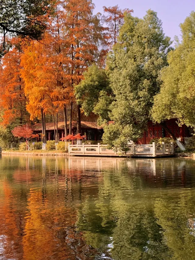 12.1武漢|現實版秋日莫內油畫~地鐵直達 12.1武漢|現實版秋日莫內油畫~地鐵直達