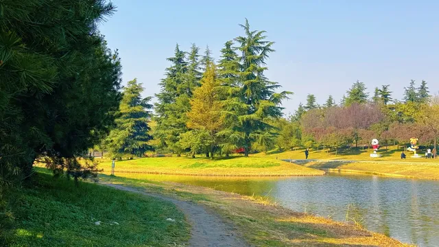 西安高新小森林 西安高新小森林