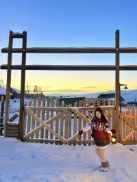 白哈巴絕美打卡機位合集（附地址…