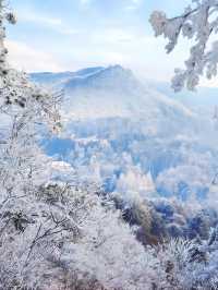 都在吹廬山雪景治癒?我想說:別太當真!