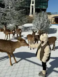 小來黃島嘉年華海信廣場啦~