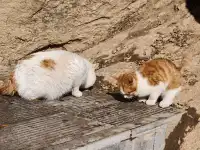 雪後秦嶺宛如仙境!南五臺山冬日徒步全攻略