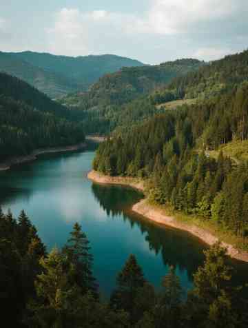 ワイヘケ・アイランドのおすすめ完全ガイド2026年（1月更新）| Trip