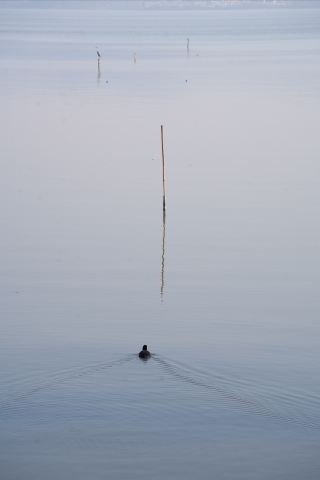 Dongqian Lake has brought the ink painting to life.