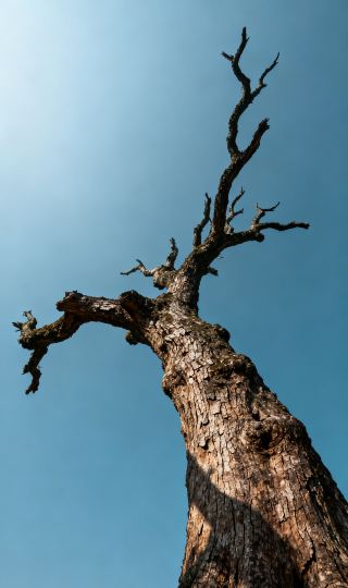 แนะนำสถานที่ลับในจ้าวชิ่ง