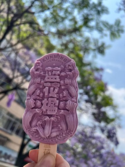 Falling into a Purple Dream on Earth | Trip.com Kunming