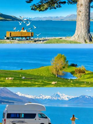 紐西蘭南島自駕｜被這裡的春天徹底治癒