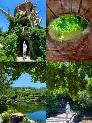 Travel Guide to Pingdu Tea Mountain, Qingdao (known as the "Little Jiangnan of the North")