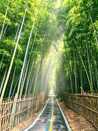 Haiyan Huangjiashan | One-stop light hiking through tea gardens, bamboo sea, and intangible cultural heritage, a hidden healing spot in Jiangsu, Zhejiang, and Shanghai