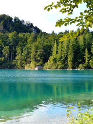 8-day summer tour across multiple European countries full itinerary unlocked