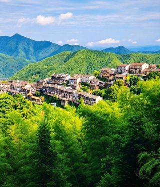 Best Accommodation for Huangshan Travel