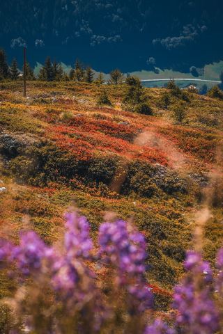 Вербье, Швейцария: встреча с самой дикой стороной Альп