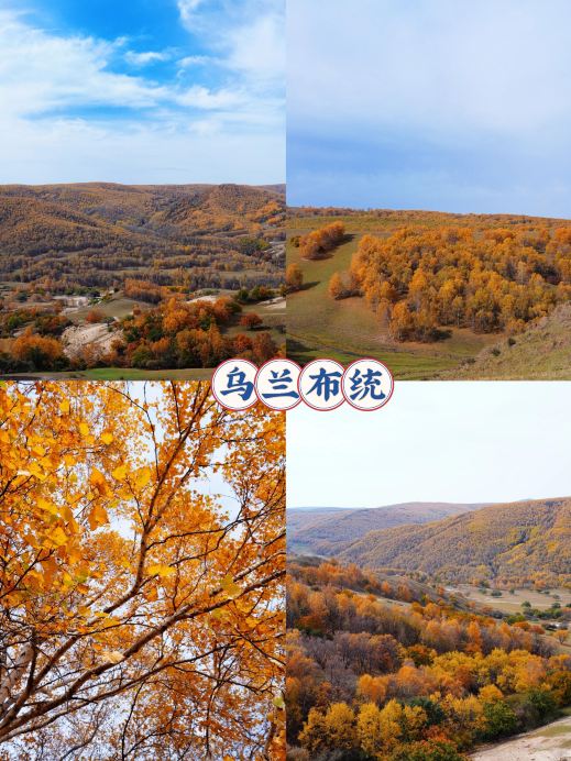 Autumn in Chifeng | A world of oil paintings acclaimed by Chinese