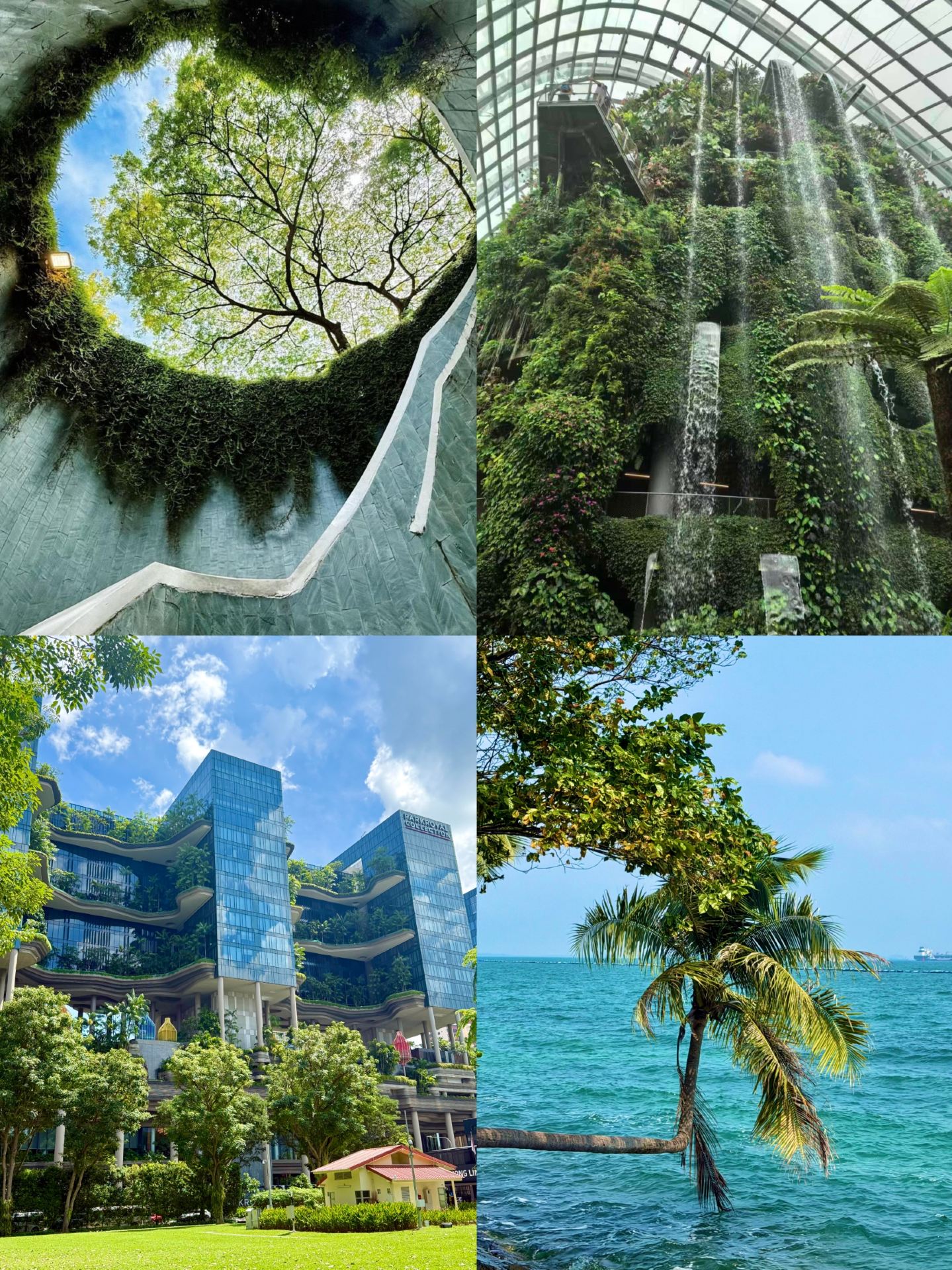 Just back from Singapore. I really don't recommend going in September or October, because it's just too...