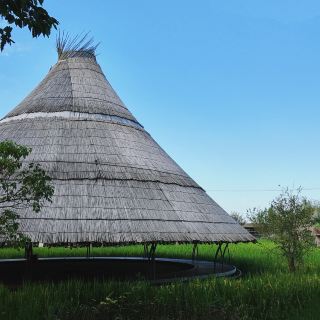 落ち穂拾い｜崇明島で幸せな「名誉村人」として過ごす半日