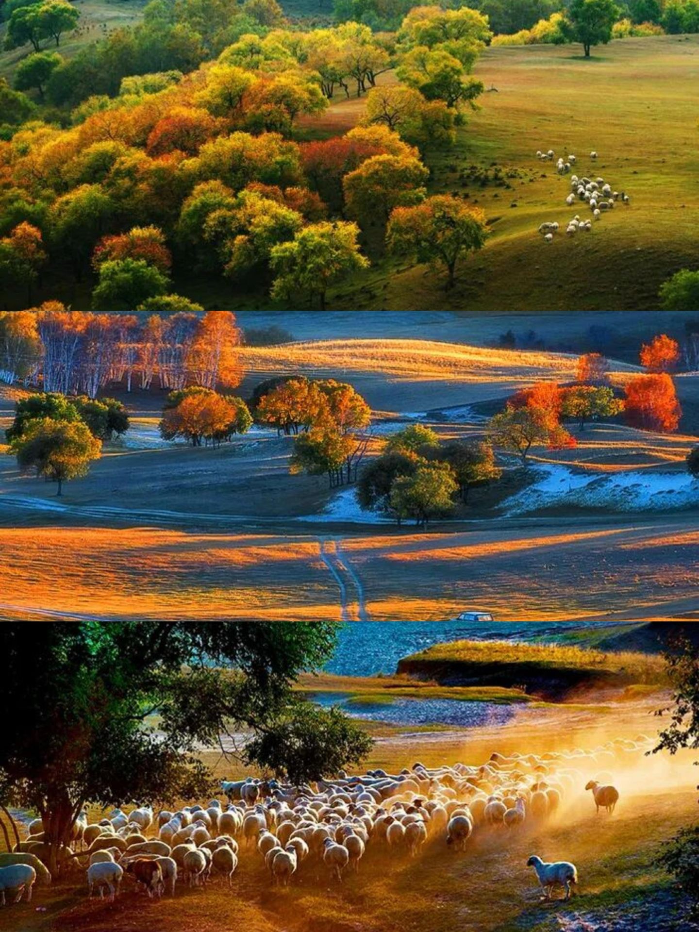 4-Day National Day Holiday | Beijing to Xilingol Duolun Lake Autumn Trip – A Must-Do Grassland Getaway for Couples!