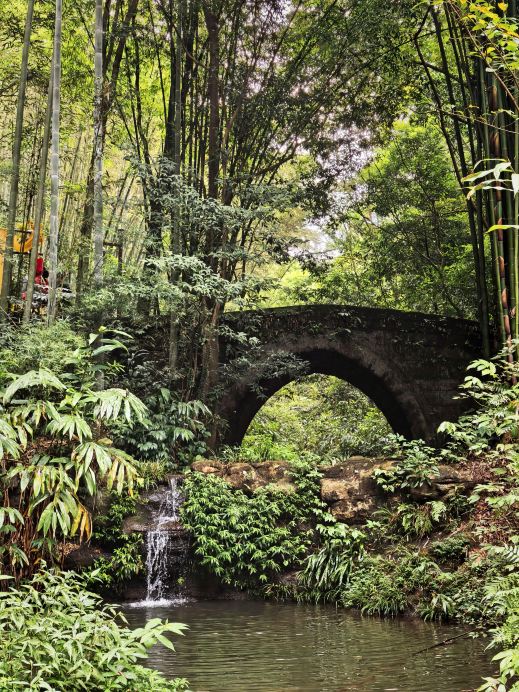 Su Dongpo's first love site! The ultimate guide to Zhongyan Temple in Qingshen