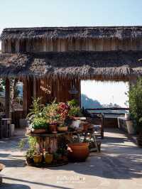 Miyo coffee & bar คาเฟ่วิวดีบนดอยช้าง