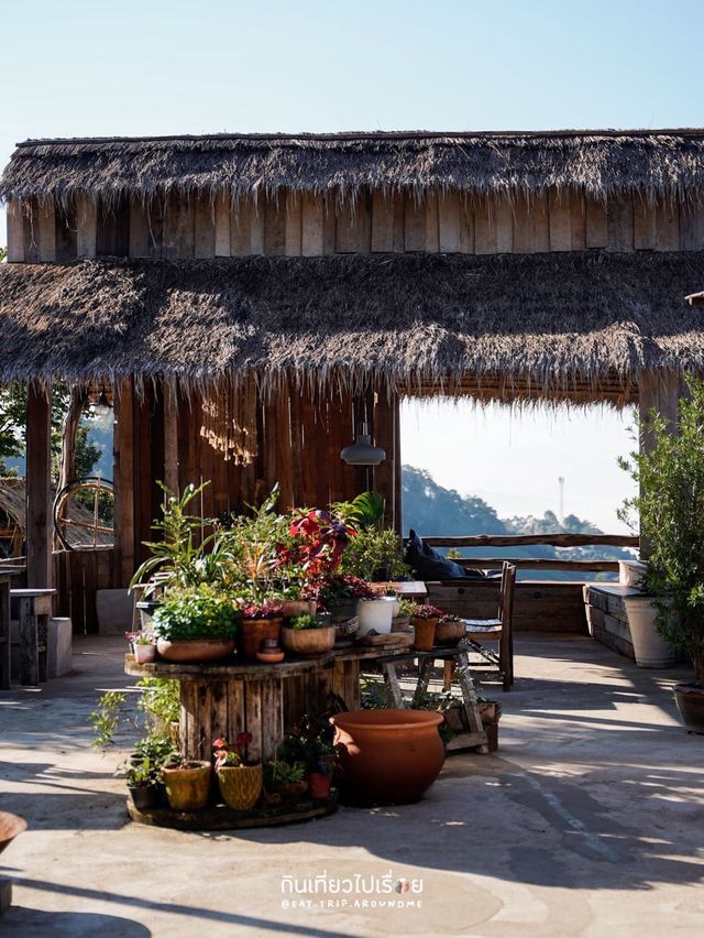 Miyo coffee & bar คาเฟ่วิวดีบนดอยช้าง