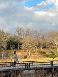 日本大阪萬博紀念公園🇯🇵