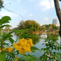 เดินชิวเที่ยวสวนลุมพินี สวนสวยกลางกรุง