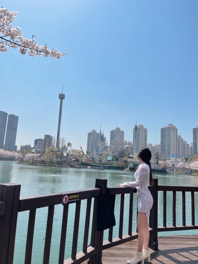 석촌호수 벚꽃 명소🌸포토존📸