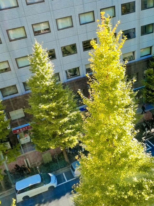 KADOYA HOTEL, SHINJUKU